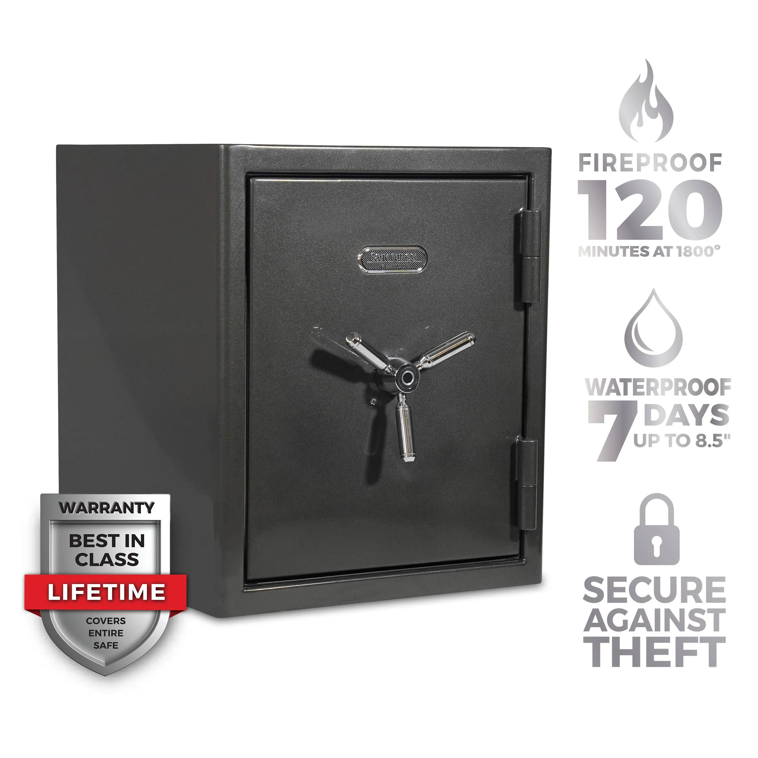 Sanctuary Platinum Fireproof/Waterproof Home & Office Safe with Biometric Lock