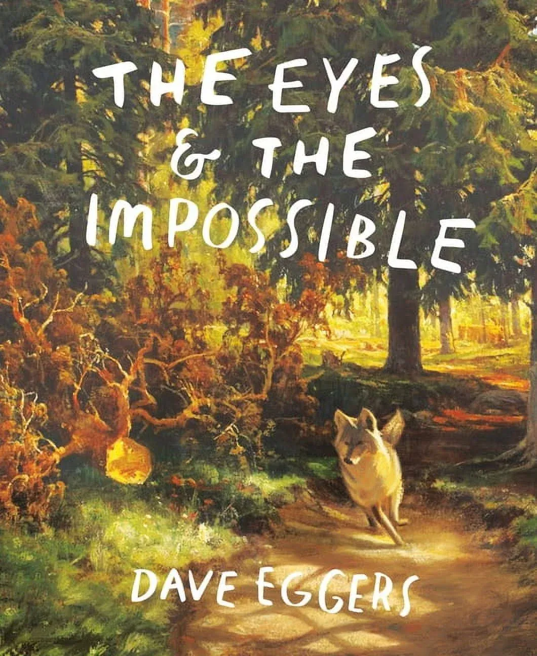 The Eyes and the Impossible [Book]