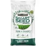 Pennington Smart Seed Sun Shade Grass Seed for Southern Lawns - 20 lb