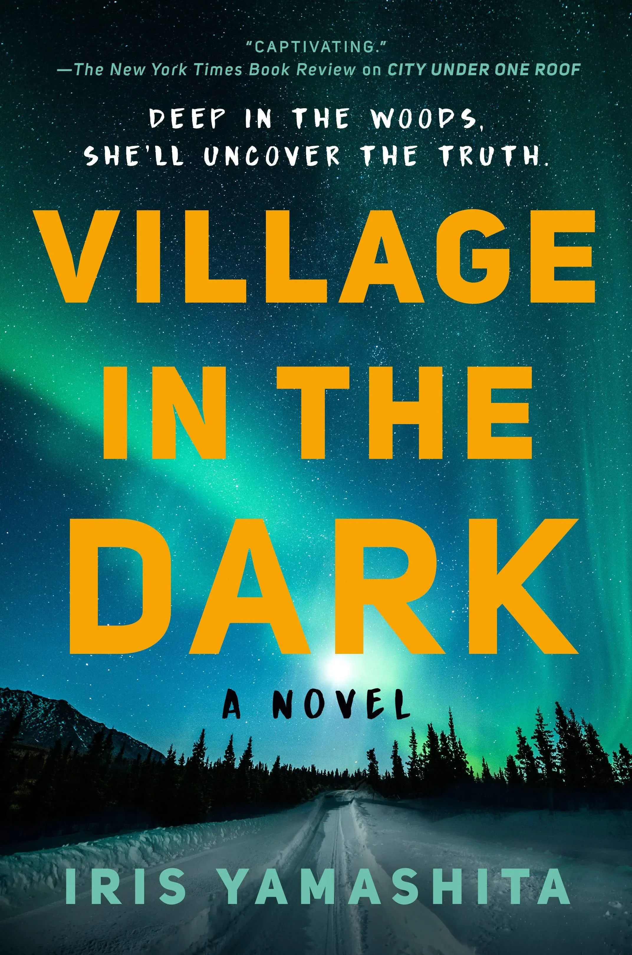 Village in the Dark by Iris Yamashita Hardcover Book