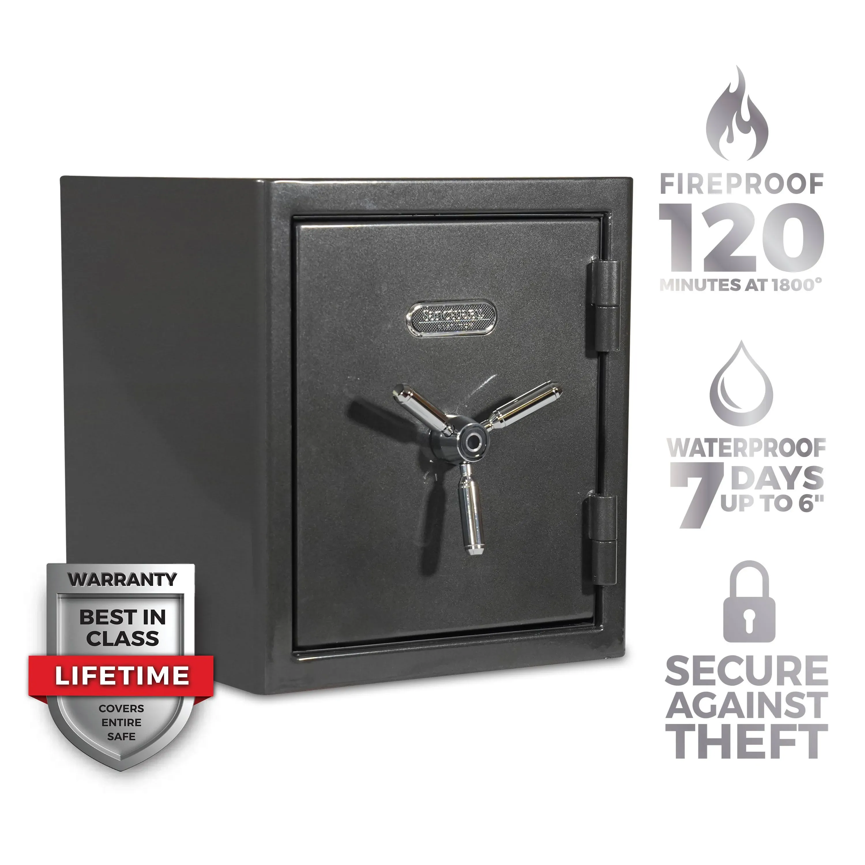 Sanctuary Platinum 3.32 Cu. ft. Fireproof/Waterproof Home & Office Safe with ...