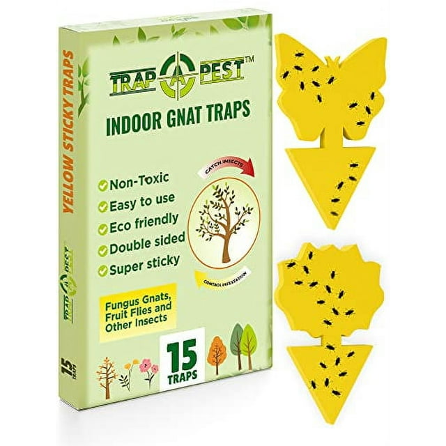 Landisun 96PCS Fruit Fly Traps Yellow Sticky Traps Fungus Gnat Traps Insect Bug Traps for Indoor Outdoor Kitchen Plants Whitefly Mosquitos Fungus Gnats Flying Insects