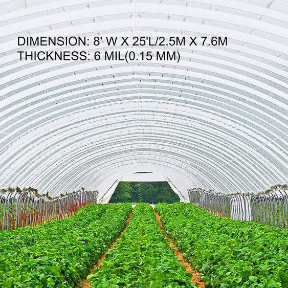 VEVOR 8 x 25 ft Greenhouse Plastic Sheeting 6 Mil Thickness UV Resistant Clear Polyethylene Film Hoop Green House Cover for Fa