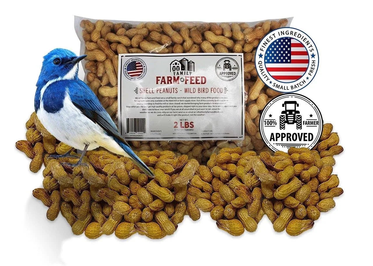 Family Farm and Feed Four Seasons in Shell Peanuts Wild Bird Food Backyard ...