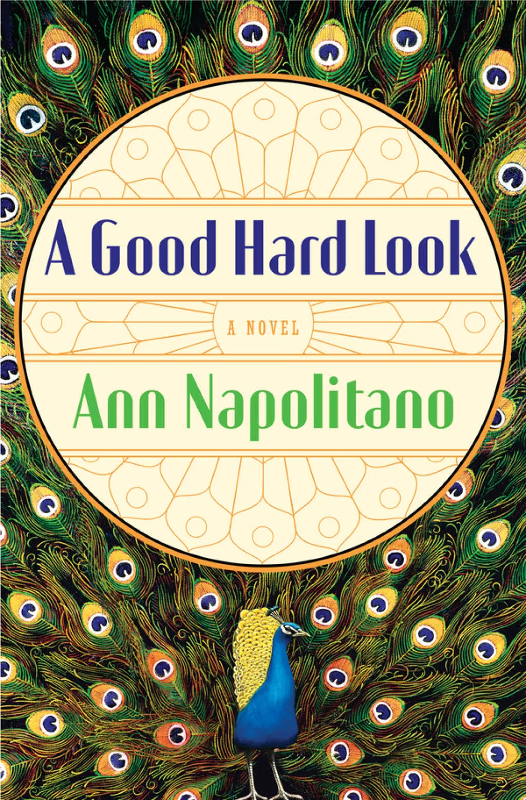 A Good Hard Look: A Novel [Book]