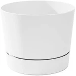 Root & Vessel Majestic Mid-Century Modern Low Profile Cylinder Pot, Matte White, 8.5"