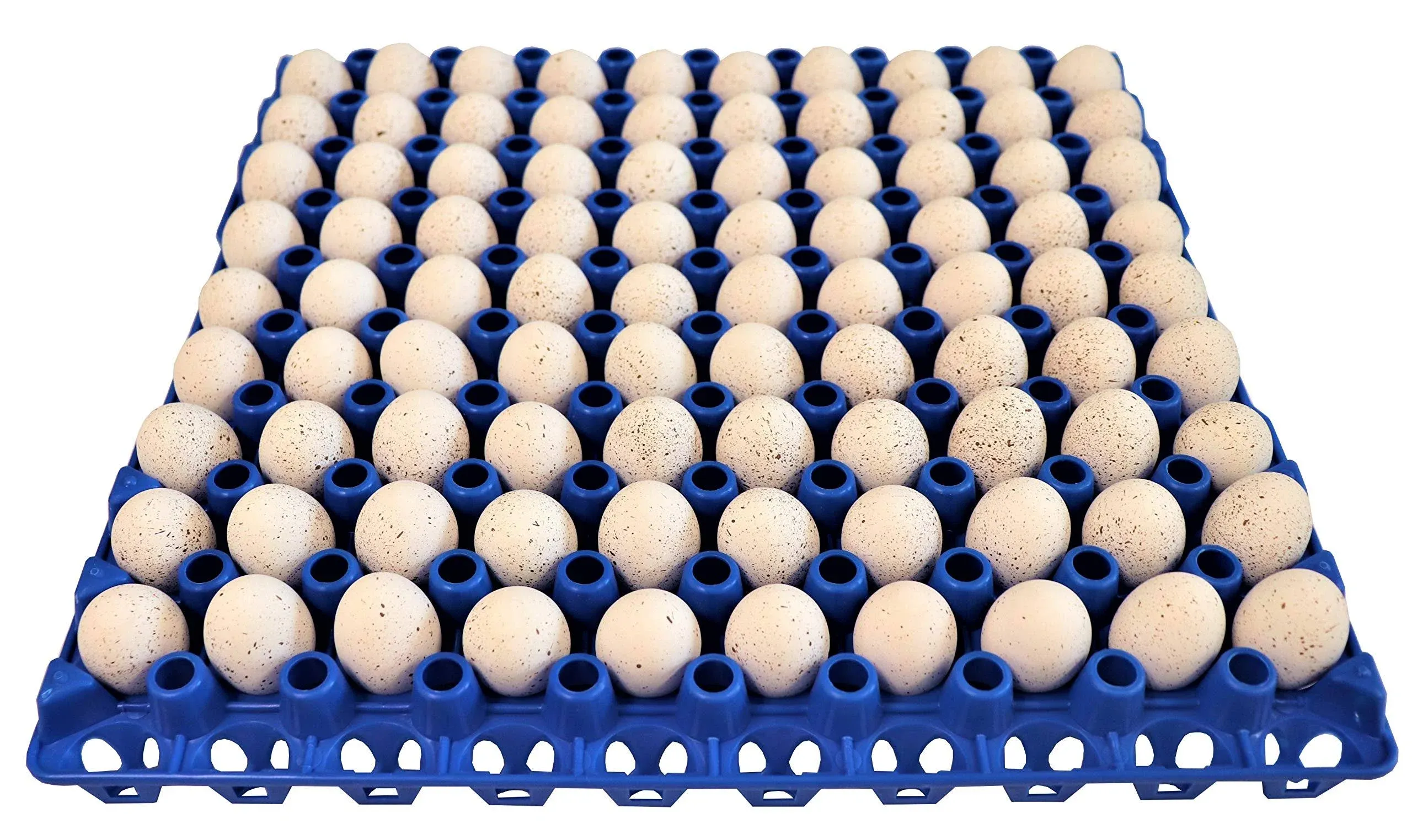 12 RITE FARM PRODUCTS 90 EGG PLASTIC TRAYS QUAIL PIGEON DOVE BIRD FLAT CARTON