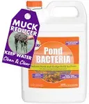 PondWorx Pond Bacteria - Formulated for Large Ponds, Water Features and Safe for Koi - Gallon