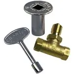 Dante Products Combo Pack with Straight 1/2-Inch, Quarter-Turn Ball Valve with Chrome Floor Plate and 3-inch Key