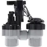 Rain Bird Anti-Siphon Valve 3/4"