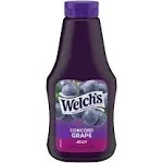 Welch's Concord Grape Jelly - 20 oz