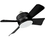 Bell + Howell Black Ceiling Socket Fan/Light