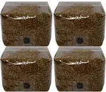 Rye Berry Mushroom Substrate Grow Bags with Self Healing Injection Port 12 lbs (3 lb Bag) (4)