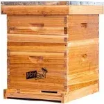 Bee Hive 10 Frame Bee Hives and Supplies Starter Kit, Bee Hive for Beginner, ...