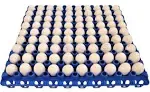 Rite Farm Products 12 90 Egg Plastic Trays Quail Pigeon Dove Bird Flat Carton