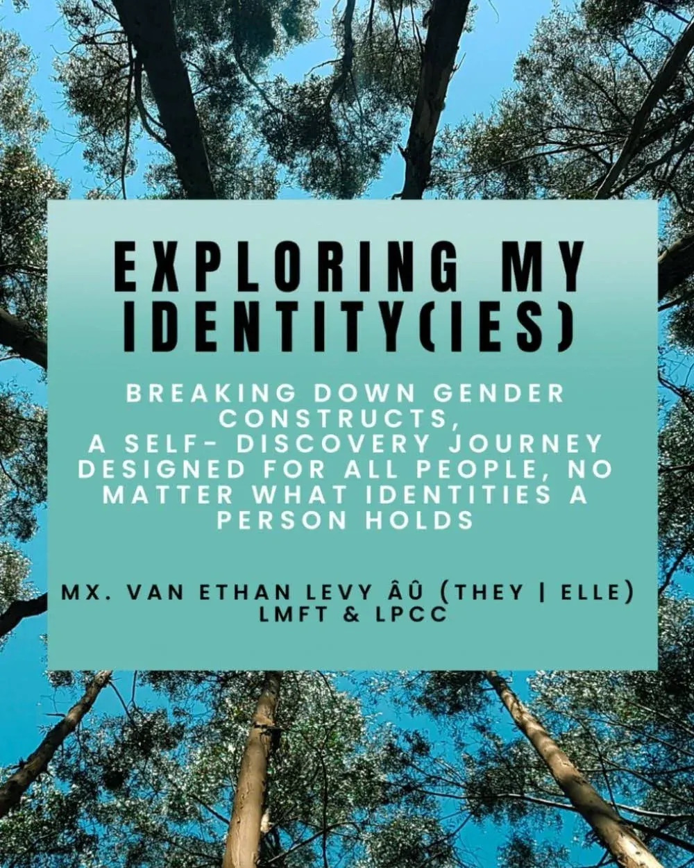 Exploring My Identity(ies) [Book]