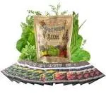 Culinary Herb Assorted Seed Pack - 12 Pack