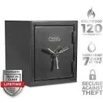 Sanctuary 1.96 Cu. ft. Biometric Lock Platinum Fireproof/Waterproof Home & Office Safe, Dark Gray Metallic