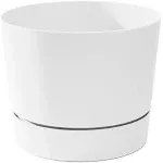 Root & Vessel Majestic Low Profile Cylinder Pot, White, 12.5 inch