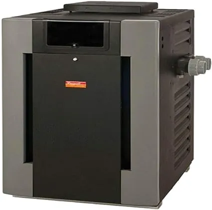 Raypak 206,000 BTU Natural Gas Millivolt Pool Heater