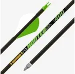 Gold Tip Hunter XT Arrows 500 Raptor Vanes 12 pk.