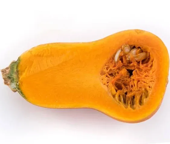 Seedville USA 25 Organic Honeynut Squash Aka Honey Butternut Squash Sweet ...