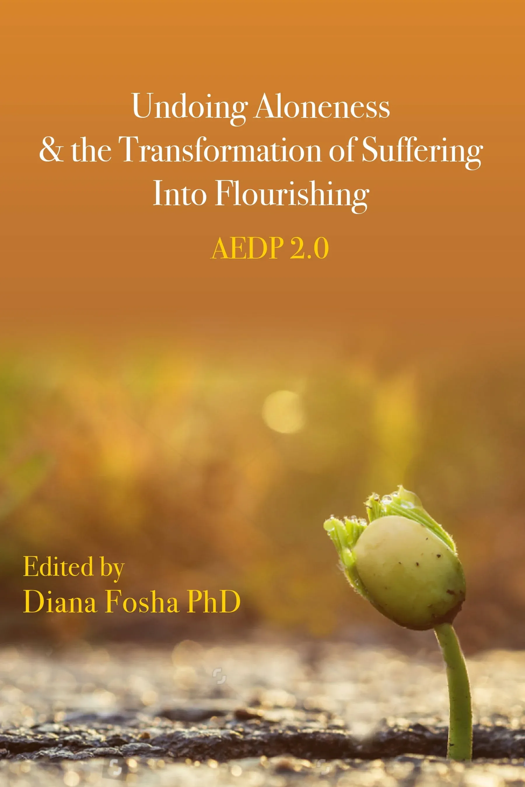 Undoing Aloneness and the Transformation of Suffering Into Flourishing: Aedp 2. 0 ...