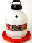 Little Giant 5 Gallon Plastic Poultry Waterer