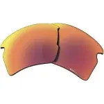 Oakley Flak 2.0 XL Prizm Replacement Lenses