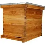 ThxBees 10-Frame Bee Hive Complete Beehive Kit Beeswax Coated Beehive Include Frames and Foundation Sheets for All Beekeeping Levels (1 Deep &amp; 1 Medium Bee Boxes)