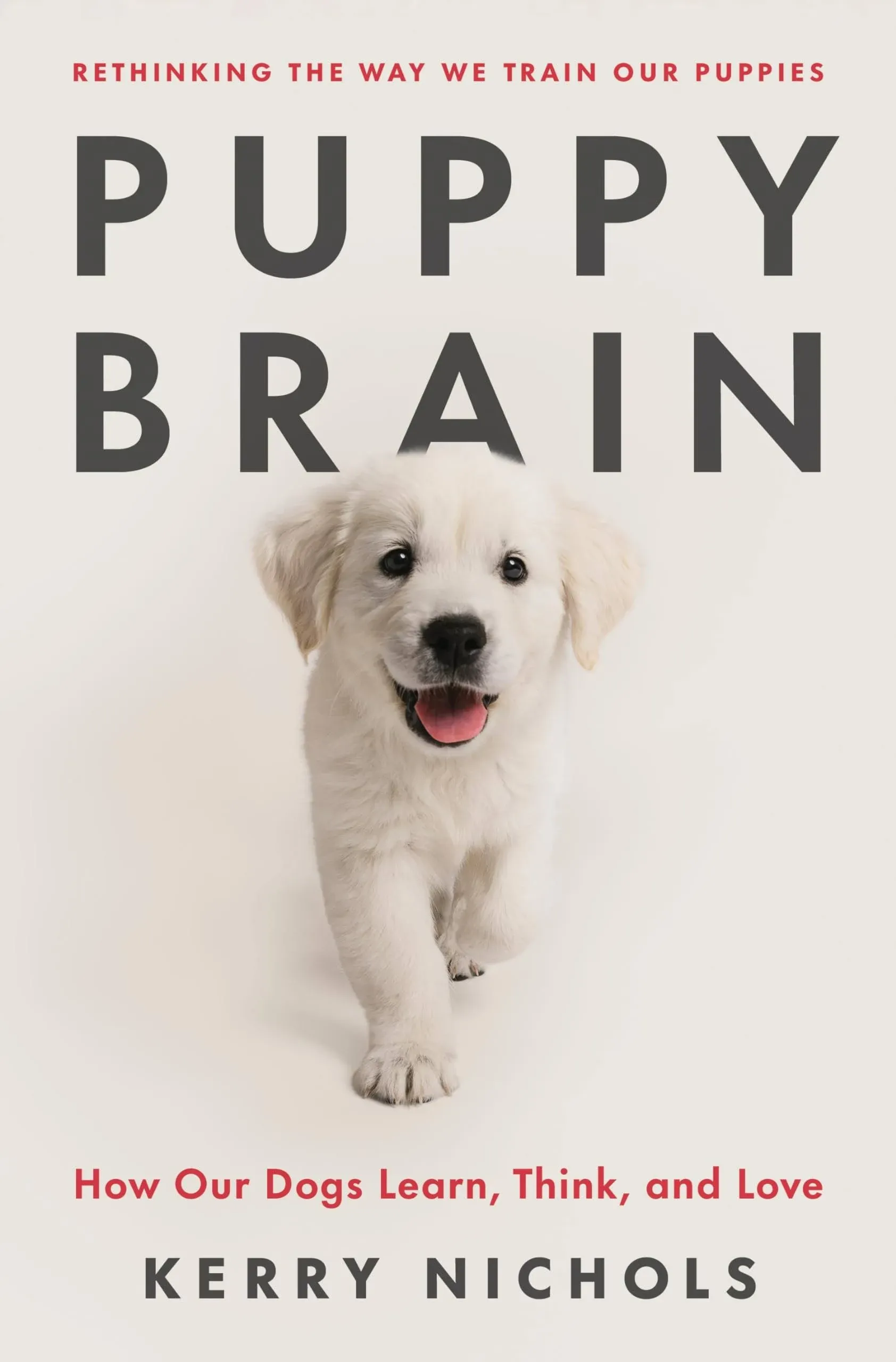 Kerry Nichols Puppy Brain (Gebundene Ausgabe) (US IMPORT)