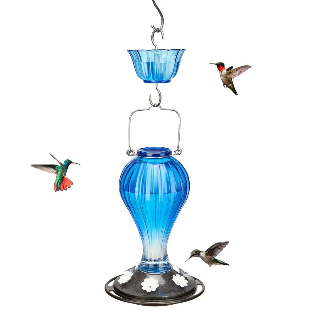 Kingsyard 24oz Glass Hummingbird Bird Feeder Hanging Nectar Feeder with Ant Moat  | eBay