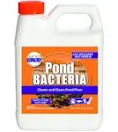 Pondworx Pond Bacteria - Concentrated Formulated for Large Ponds Water Feat 32oz