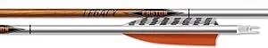 Easton Carbon Legacy Arrows