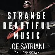 Strange Beautiful Music: A Musical Memoir