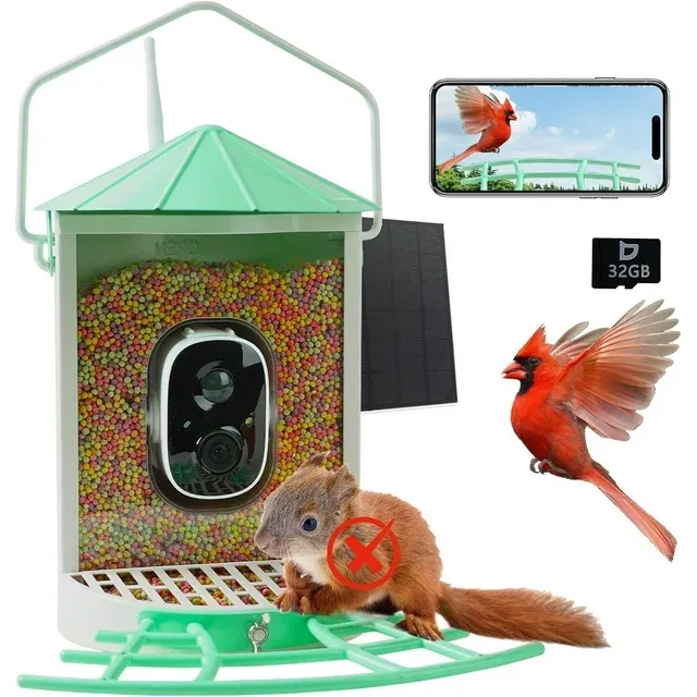 Birdkiss Smart Wireless Outdoor Bird Feeder with App, Squirrel-Proof, with Ai & Solar Panels, Mint Green