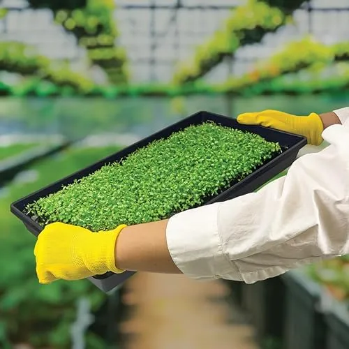 Living Whole Foods Plant Growing Trays