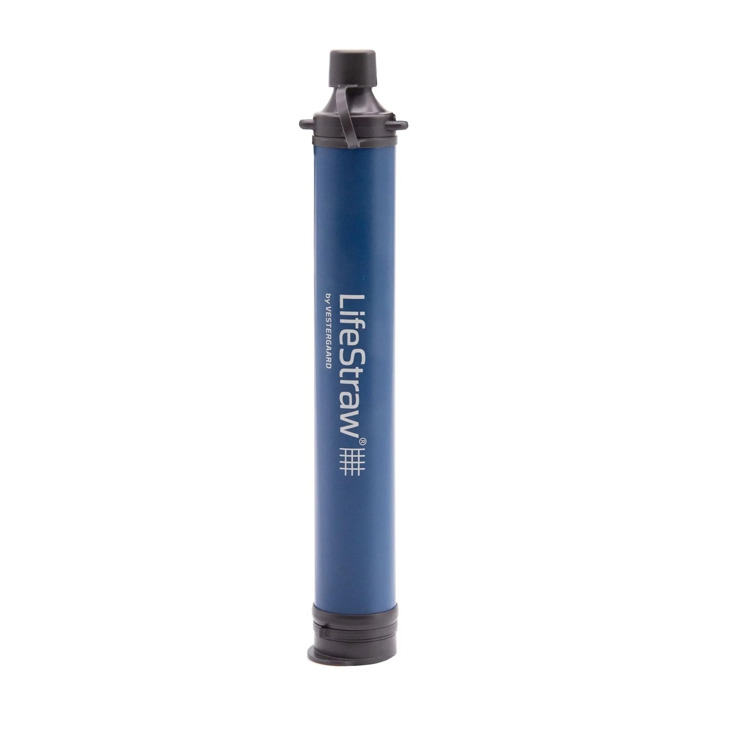 Eartheasy LifeStaw Personal Water Filter