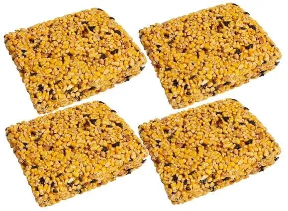 Songbird Treats Squirrel Seed Cakes Large 4 Pack | Pack of 4 Sqirrel 2.5 lb Large Bird Seed Cakes for Wild Birds | Squirrel Seed Blocks