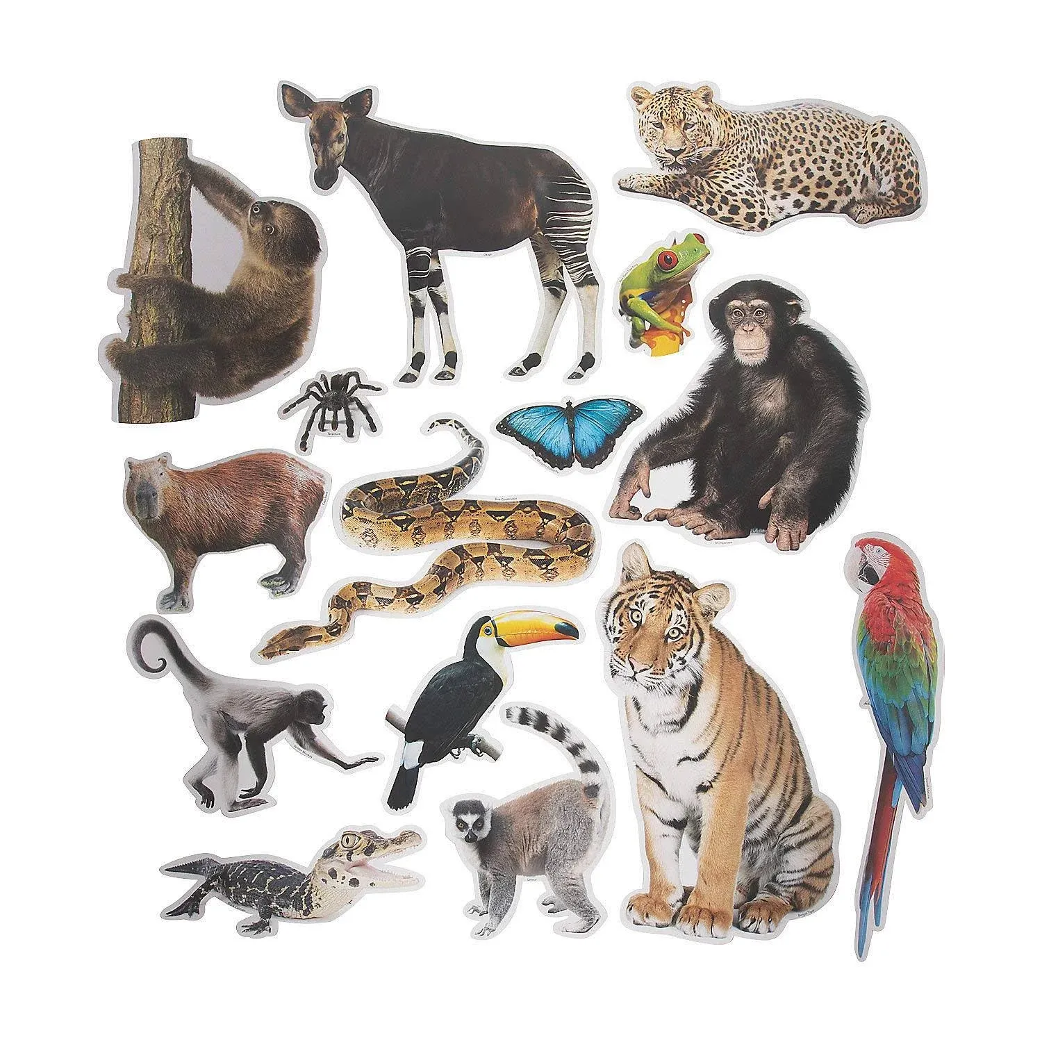 Jumbo Realistic Rainforest Cutouts - 15 Pc.