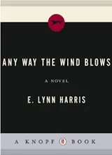 Any Way the Wind Blows: A Novel