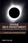 Divine Self-Investment: An Open and Relational Constructive Christology