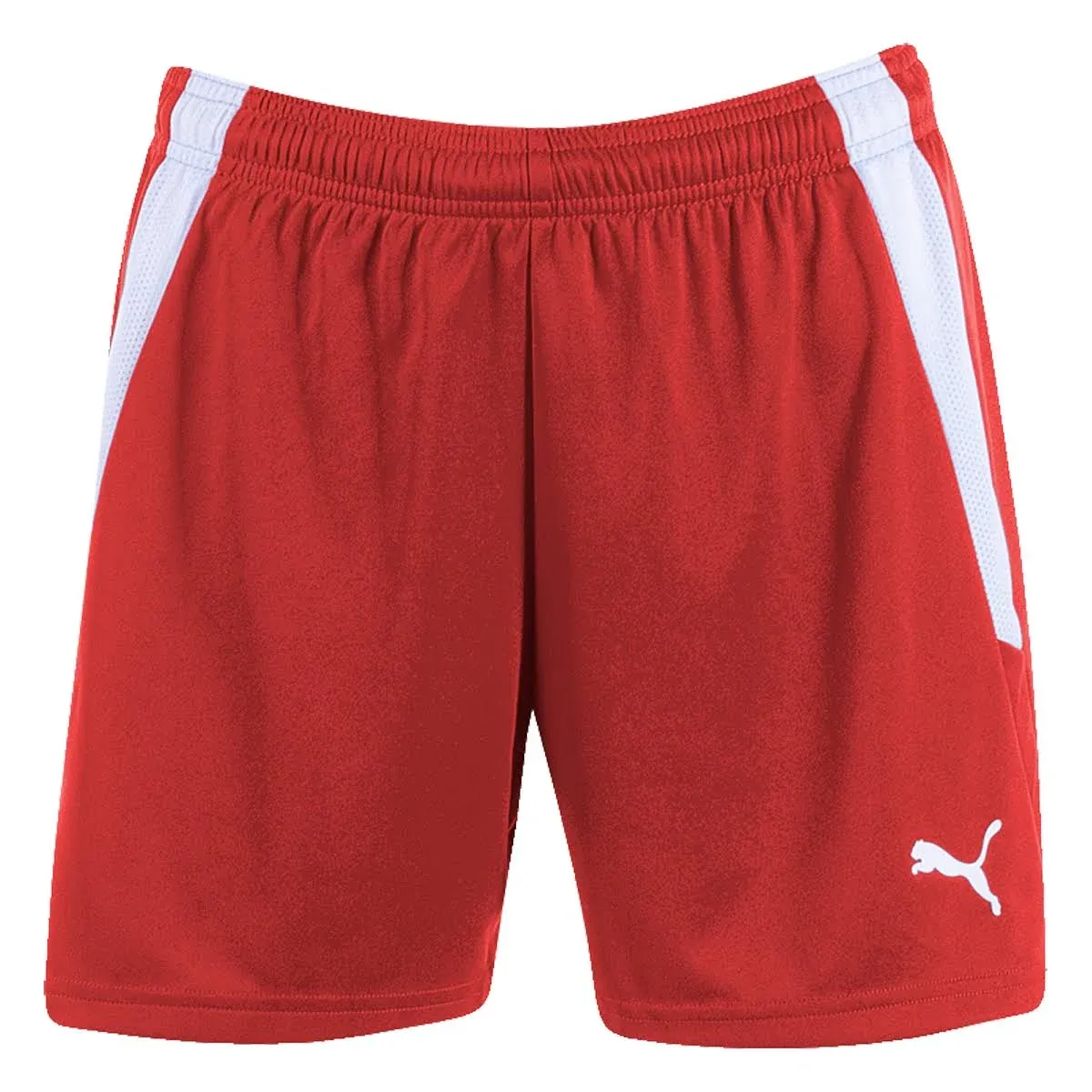 Puma Women's Teamliga Shorts