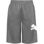 8-20 PUMA Boys' Core Pack Shorts