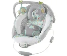 Ingenuity Flora Baby Bouncer