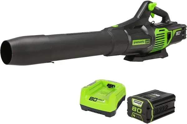 Greenworks 80V Brushless Leaf Blower 2.5 Ah Battery