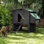 Nestera Large Raised Chicken Coop