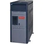 Raypak Digital Natural Gas Heater 156,000 BTU | 014784