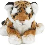 Tiger Cub AN329