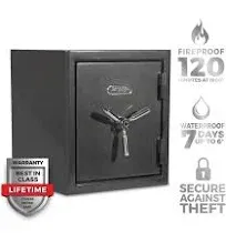 Sanctuary Platinum Fireproof/Waterproof Home & Office Safe with Biometric Lock